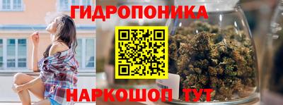 шишки Дубна