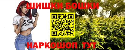 шишки Дубна