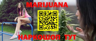 шишки Дубна