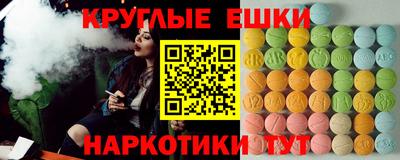 шишки Дубна
