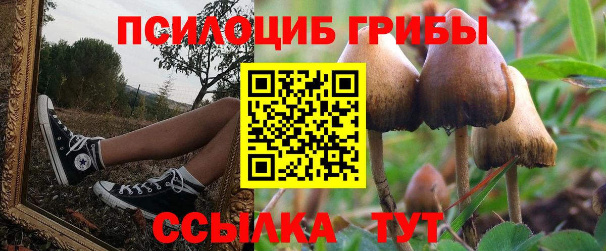 Галлюциногенные грибы ЛСД Псков