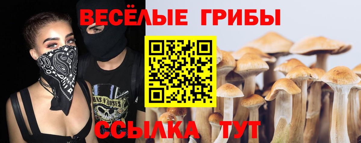 Псилоцибиновые грибы Psilocybe  Вход с VPN  Псилоцибиновые грибы Magic Shrooms  Псков 